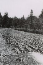 RC 2015.0.2.1 Bishop Interview Image Number 18